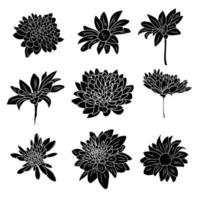 A set from an isolated collection of chrysanthemums. It is presented as a silhouette on a white background. Black chrysanthemum flowers. Silhouette of flowers vector