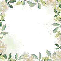 watercolor white murraya orange jasmine flower bouquet wreath frame square banner background vector