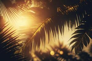 Tropical palm leaves background. . photo