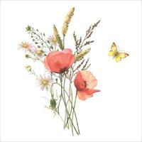 Watercolor wild flower bouquet, red poppies, field herb, chamomile and butterfly, isolated on white background. Good for cosmetics, medicine, treating, aromatherapy, nursing, package, postcards. vector