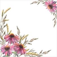 Vector Template for invitations, postcards. Composition of watercolor echinacea flowers and field herbs, with empty space for text