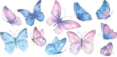 A vector set of delicate cute pink and blue butterflies. Watercolor illustration isolated objects on a white background. For decoration, design of romantic, wedding events, textiles, poscards