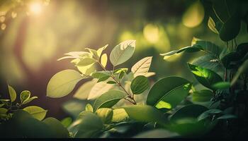 naturaleza de verde hoja en jardín a verano debajo luz de sol. generativo ai foto