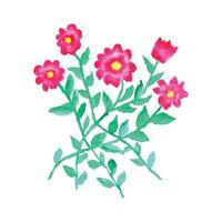 Watercolor painting of a pink flower with green leaves. Watercolor flower design. Pink watercolor flower design vector