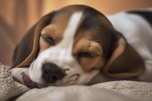 beagle perrito durmiendo. generativo ai. foto