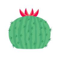 Cactus vector icon. Cactus illustration sign. desert symbol or logo.