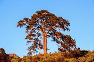 Scenic rural landscape photo