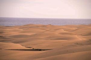 Sand dunes by the sea photo