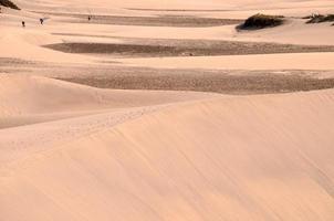 Sand dunes by the sea photo