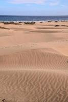 Sand dunes by the sea photo