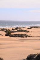 Sand dunes by the sea photo