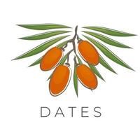 Date Fruit Illustration Logo With Leaf vector