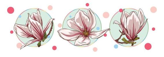 set of cards with magnolia and lotus flowers isolated in a turquoise circle on a white background with colorful dots. green leaves, open buds, closed buds, pink and purple flowers. vector illustration