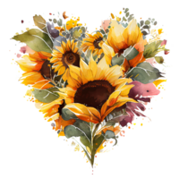 heart shaped Sunflower bouquet, Romantic heart vignette made of vintage flowers and leaves of Sunflower in gentle retro style watercolor painting, PNG transparent background, .