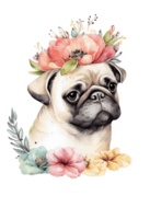 Watercolor cute hand drawn Pug, dog in floral wreath, flowers bouquet, , png transparent background.