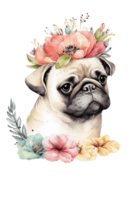 vattenfärg söt hand dragen mops, hund i blommig krans, blommor bukett, generativ ai, png transparent bakgrund.