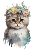 Aquarell süß Hand gezeichnet Katze, Kätzchen im Blumen- Kranz, Blumen Strauß, generativ ai, png transparent Hintergrund.