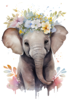 Watercolor cute hand drawn elephant, elephant in floral wreath, flowers bouquet, png