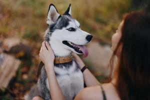 mujer y su fornido perro felizmente jugando al aire libre en el parque entre el arboles sonrisa con dientes en el otoño caminar con su mascota foto