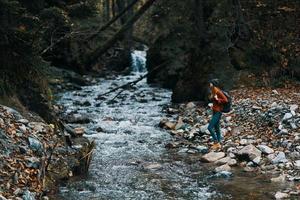 autumn river in the mountains on nature in the forest and travel model tourism photo