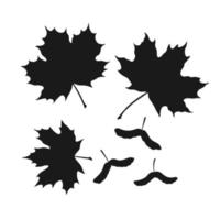 conjunto de silueta arce y semillas mano dibujado otoño vector ilustración.