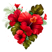 heart shaped hibiscus bouquet, Romantic heart vignette made of vintage flowers and leaves of hibiscus in gentle retro style watercolor painting, PNG transparent background, .