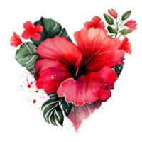 heart shaped hibiscus bouquet, Romantic heart vignette made of vintage flowers and leaves of hibiscus in gentle retro style watercolor painting, PNG transparent background, .