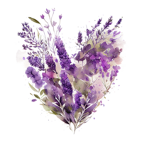 heart shaped purple Lavender bouquet, Romantic heart vignette made of vintage flowers and leaves of Lavender in gentle retro style watercolor painting, PNG transparent background, .