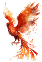 watercolor painting of a phoenix bird on a transparent background, png, png