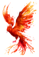 watercolor painting of a phoenix bird on a transparent background, png, png