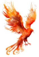 watercolor painting of a phoenix bird on a transparent background, png, png