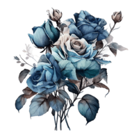 Watercolor floral bouquet composition with roses, png transparent background, .