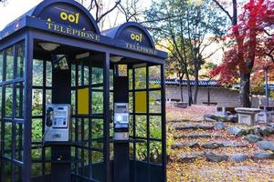 el teléfono cabina en el flor jardín en otoño foto