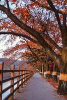 Wolyeonggyo bridge, Wooden bridge at Andong, South Korea. photo