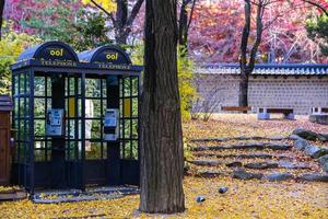 el teléfono cabina en el flor jardín en otoño foto