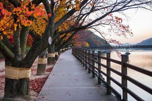 wolyeonggyo puente, de madera puente a andong, sur Corea. foto