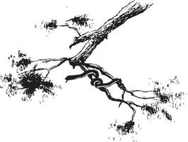 Sketch of branch with. Snake vector