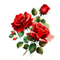 Watercolor floral bouquet composition with red roses, png transparent background, .