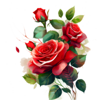 Watercolor floral bouquet composition with red roses, png transparent background, .