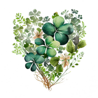 Shamrock leaves in the heart shape, St Patrick's day, Watercolor clover leaves, watercolor spring background, png