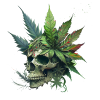 Schädel Kopf mit Cannabis Blätter, Grün Schädel. böse Skelett Kopf, Marihuana Schädel, generativ ai. png