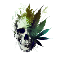 cráneo cabeza con canabis hojas, verde cráneo. mal esqueleto cabeza, marijuana cráneo, generativo ai. png