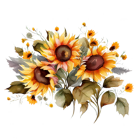 Watercolor floral bouquet composition with Sunflower, png transparent background, .