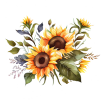 Watercolor floral bouquet composition with Sunflower, png transparent background, .