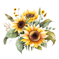 Aquarell Blumen- Strauß Komposition mit Sonnenblume, png transparent Hintergrund, generativ ai.