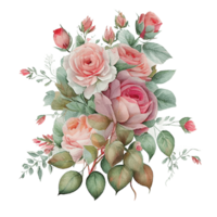 Watercolor floral bouquet composition with roses, png transparent background, .