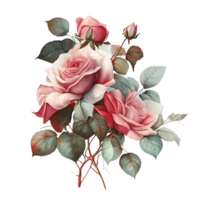 Watercolor floral bouquet composition with roses, png transparent background, .