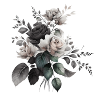 Watercolor floral bouquet composition with roses, png transparent background, .