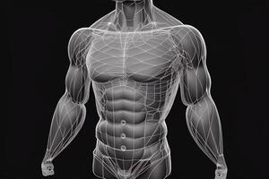 Abstract isolated human body on background. Polygonal top of body of adult man with polygons, particles, lines and connected dots. Medicine and healthy life digital concept. Low poly wireframe. AI photo