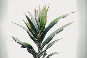 Green plant painting on white background. AI digital illustration photo